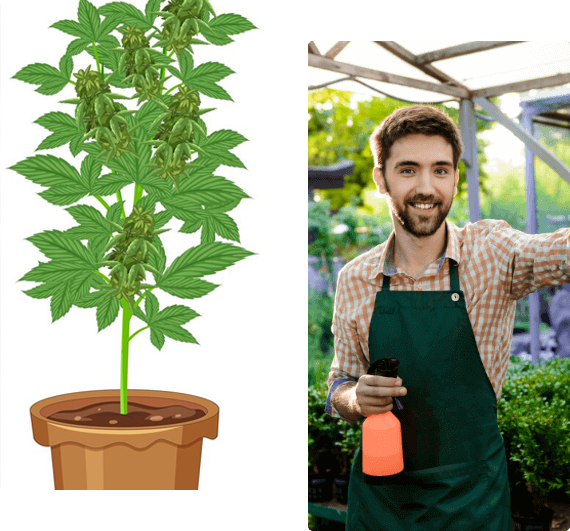 Vijaya Organic Research Centre (VORC)